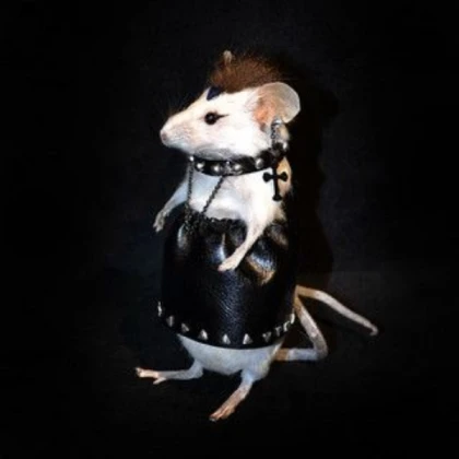 GOTH PUNK RAT