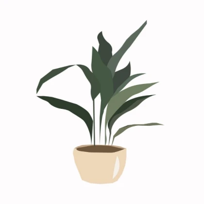 potted plant