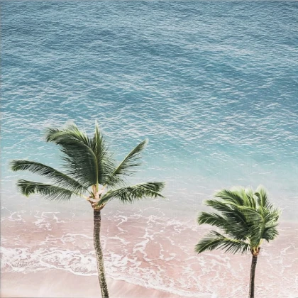 Beach Ocean Aesthetic Modern Hipster bww Palm tree