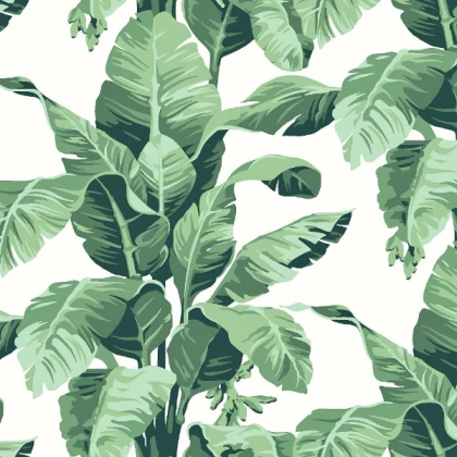 Aesthetic art bww pattern wallpaper tropical plant