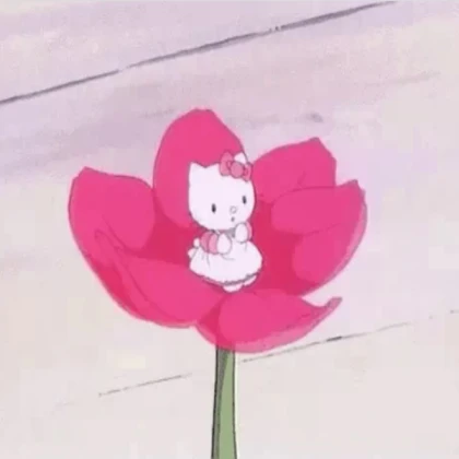 Cottage core hello kitty