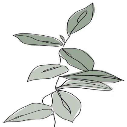 ✧◦ minimalist aesthetic leaves ◦✧