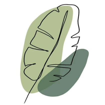 ✧◦ minimalist aesthetic leaves ◦✧