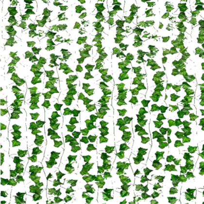 Ivy leaves with transparent background