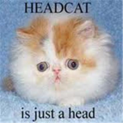Headcat {plz fave}