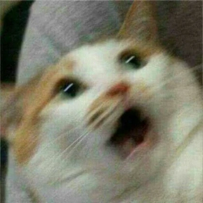 screaming cat