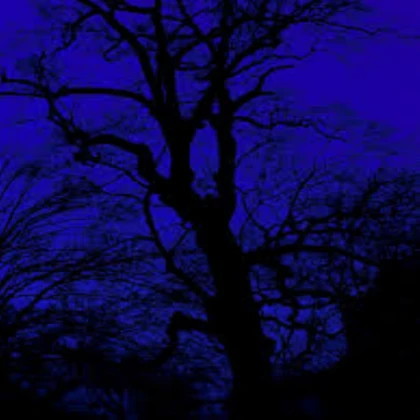 Midnight blue dark aesthetic