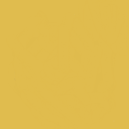 Lemon Demon's skin tone