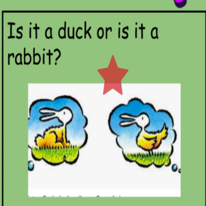 IS IT A DUCK OR RABBIT