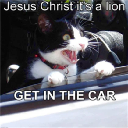JESUS CHRIST! IT'S A LION! GET IN THE CAR!
