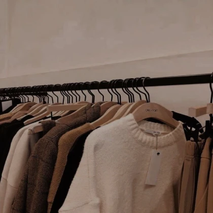 Soft Brown aesthetic Fashion