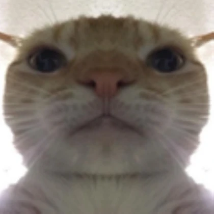 hm kinda sus ngl man