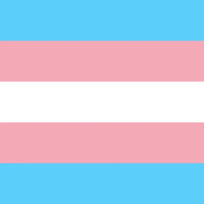 Trans Flag! Roblox Decal