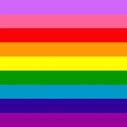 LGBT Rainbow Flag (9-stripe, 2017)