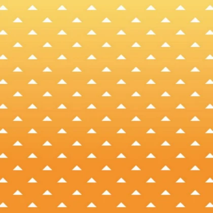 Zenitsu Haori Texture