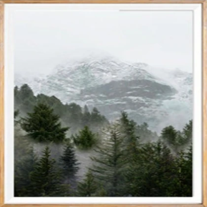 Forest Scenery Set (2)