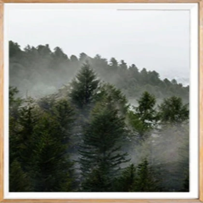 Forest Scenery Set (1)