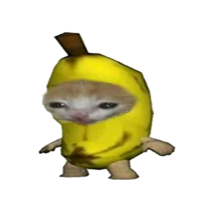 Cat banana