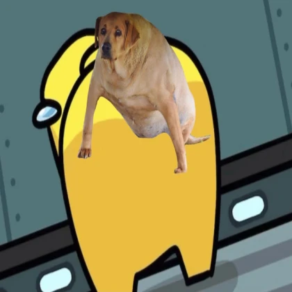 WhAT ThE DoG DOIn!!!???1/!?!