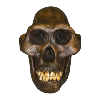 finally unfortunate skull emoji