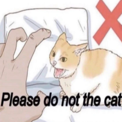 Please do not the cat >:(