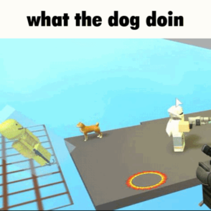 what the dog doin