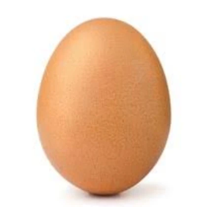 low quality egg