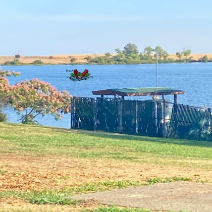 Omg tricky In Water spotted at a lake
