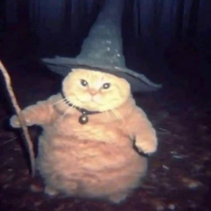 wizard cat ˎˊ˗