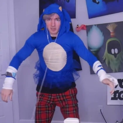 Flamingo in a sonic costume