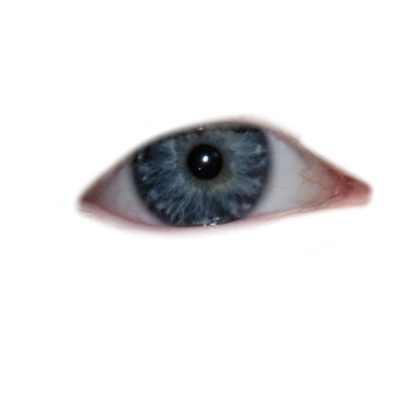 Eye