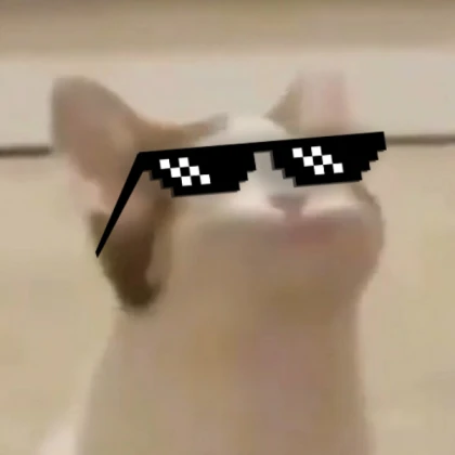 pop cat with deal it glasses