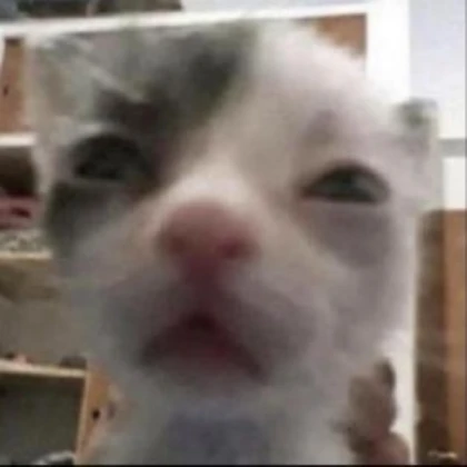 My dearest boy william