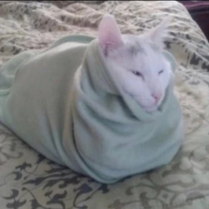 sleepy cosy :D (not thumper)