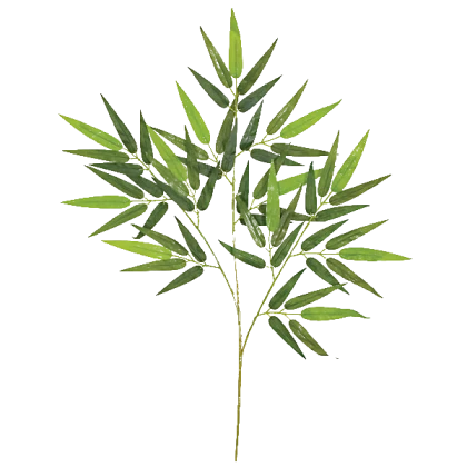 Bamboo branch large