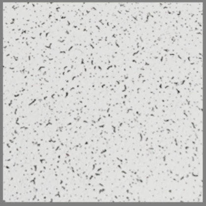 Ceiling Tile