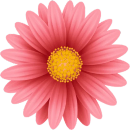 Elizabeth's Sunflower Photo