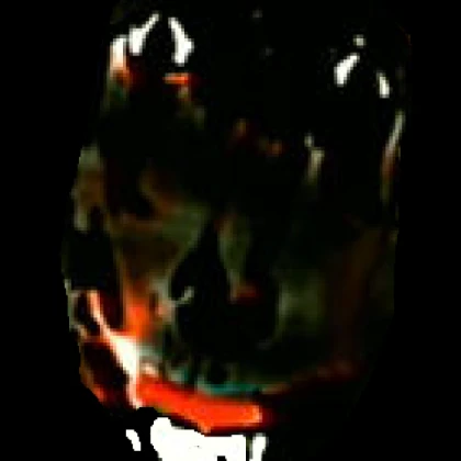 pumpkin rabbit's true face