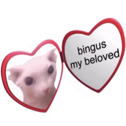 bingus my beloved