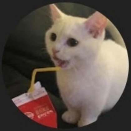Cute Cat PFP