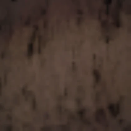 Zombie Jason [the new blood] Skin Color B