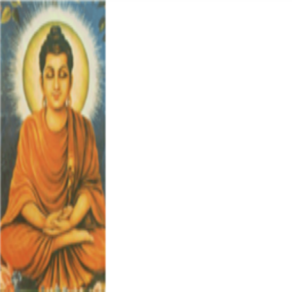 Favorite if you love Buddha!