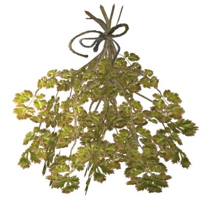 Skyrim Hanging Frost Mirriam