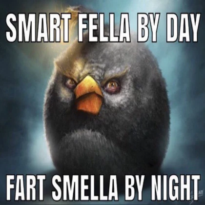 smart fella fart smella