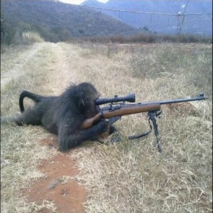 Sniper Monkey