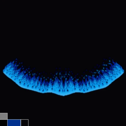 Shindo Life Neo Cape