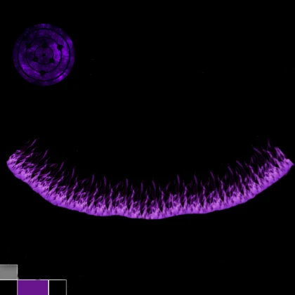 Rinnegan Cloak - Shindo