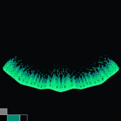 Shindo Life black and green Cape