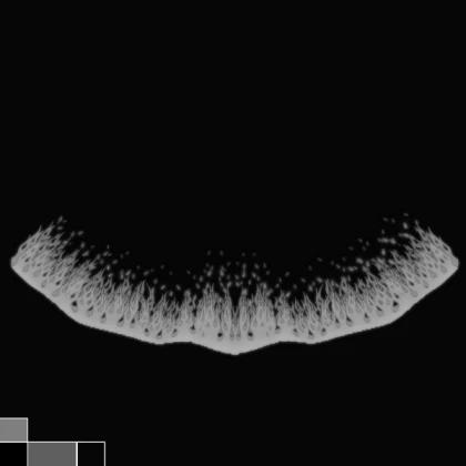 Shindo Life black and White Cape