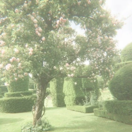 cottagecore pink+green